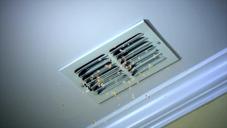Best Ductwork Cleaning Services  in Walnut Hill, TN