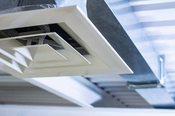 Best Affordable Duct Cleaning Services  in Walnut Hill, TN