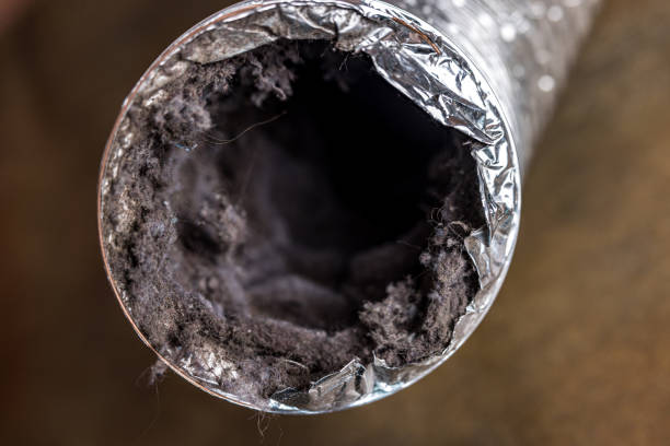 Best Ventilation Cleaning Services  in Walnut Hill, TN