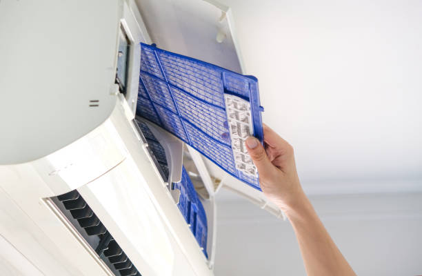 Best HVAC Duct Inspection Services  in Walnut Hill, TN