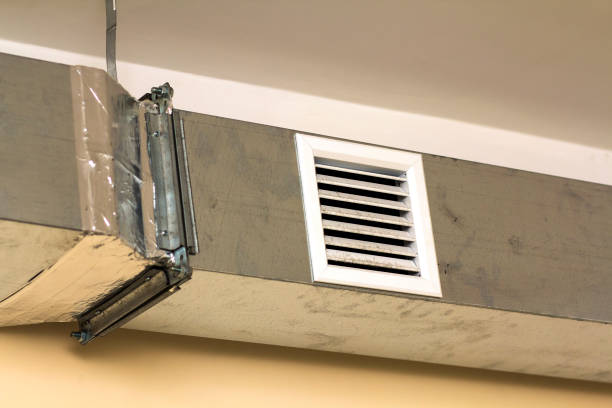 Best Ductwork Cleaning Services  in Walnut Hill, TN
